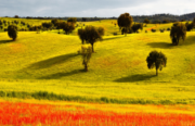 ALENTEJO