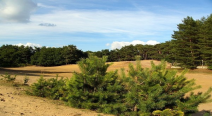 Belgische Kempen (Booking.Com)