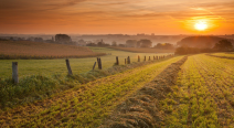 Vlaamse Ardennen 2 (212 x 116)