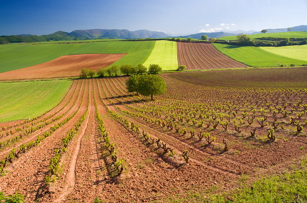 LA RIOJA 