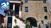 Il Tulipano