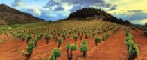 LA RIOJA