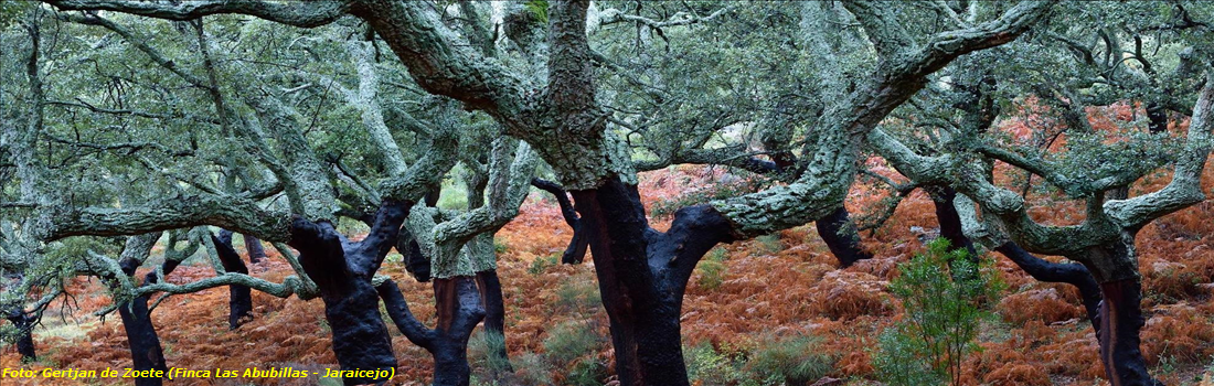 EXTREMADURA 