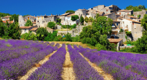 Vaucluse / Provence