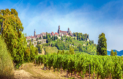 YONNE