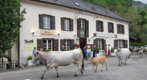 Auberge Des Deux Rivières - Ariège