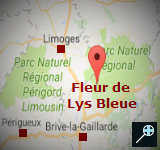 Kaart - Fleur de Lys Bleue 