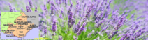 PROVENCE