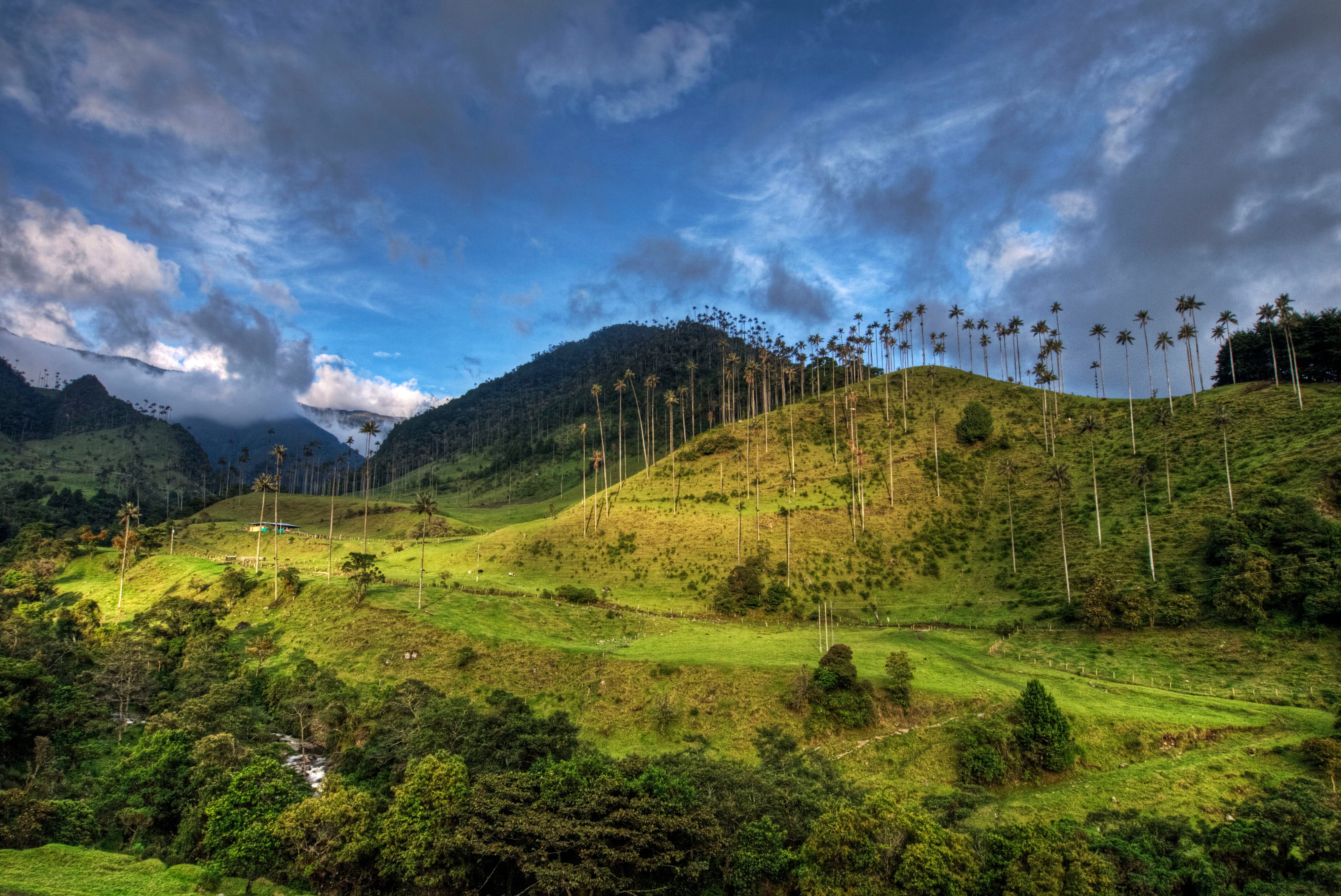 Колумбия. Тихоокеанская низменность Колумбия. Климат Колумбии. Валье де Кокора (Киндио, Колумбия). Дождевой лес Колумбия Богота.